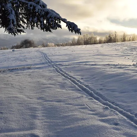 Lovely In Vestsida With Wifi